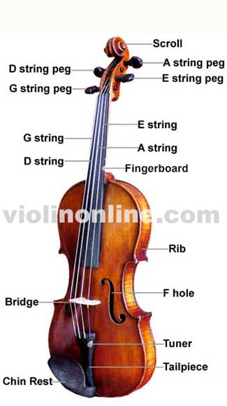 violin parts